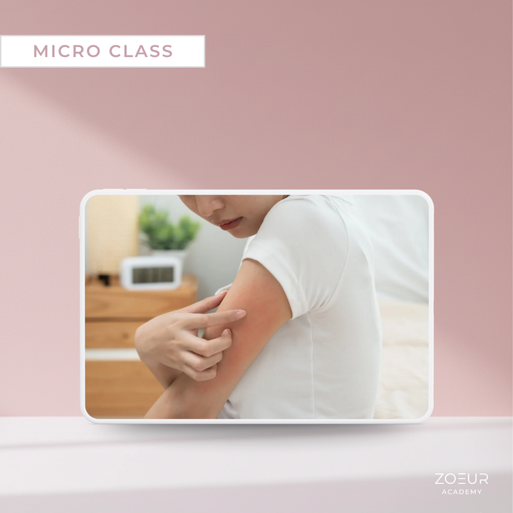 Heizungsluft-Schäden reparieren: Micro Class